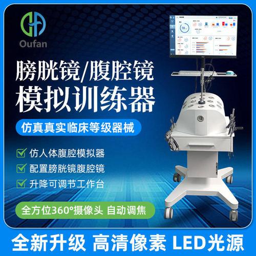 医药教学器材今日报价走势分析-下肢骨腿骨模型
